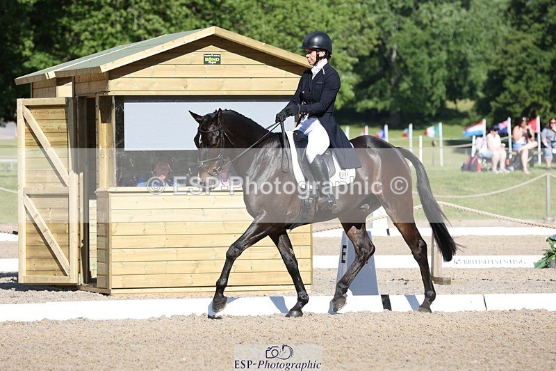 230526-090051-04983 - 351-TRINITY_CAVALIER-Henrietta_Horsley-gubbins-WEDTrotUp+DR