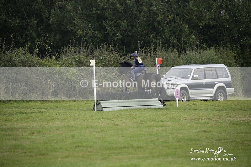  WWHT 171021 0933 - Open Novice (0.80m)  17/10/21