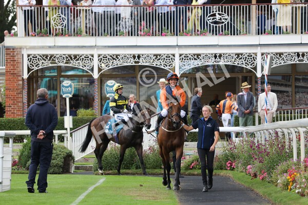 yr23072022r7-32 - Race 7 5.35pm Sky Bet Paying Extra Places Stakes