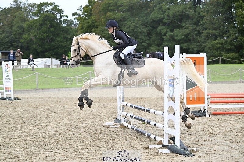 251005A-124900-03902 - Cls 08 Mini 70-75cm