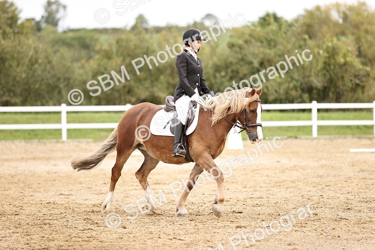 SBM_002736 - Prelim 1