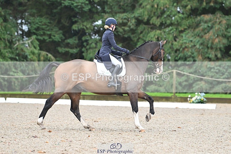 231019-104742-01966 - 103-BEECH.HILL.KIKO.CLOVER-Harriet.Blair-DR