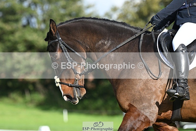 231020-144335-10726 - 500-HARLYN.CONNOR-Kerryann.Dunstan-DR