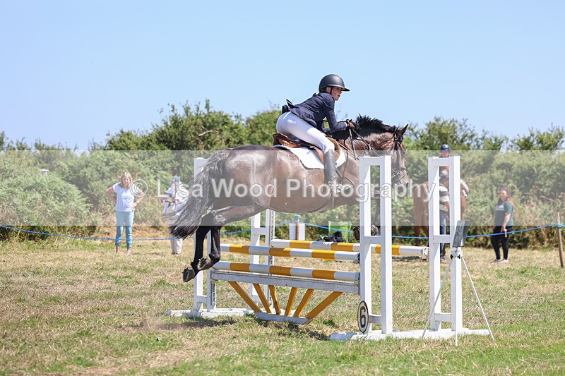 3E7A4454 - Class 10: Senior British Novice/90cm open