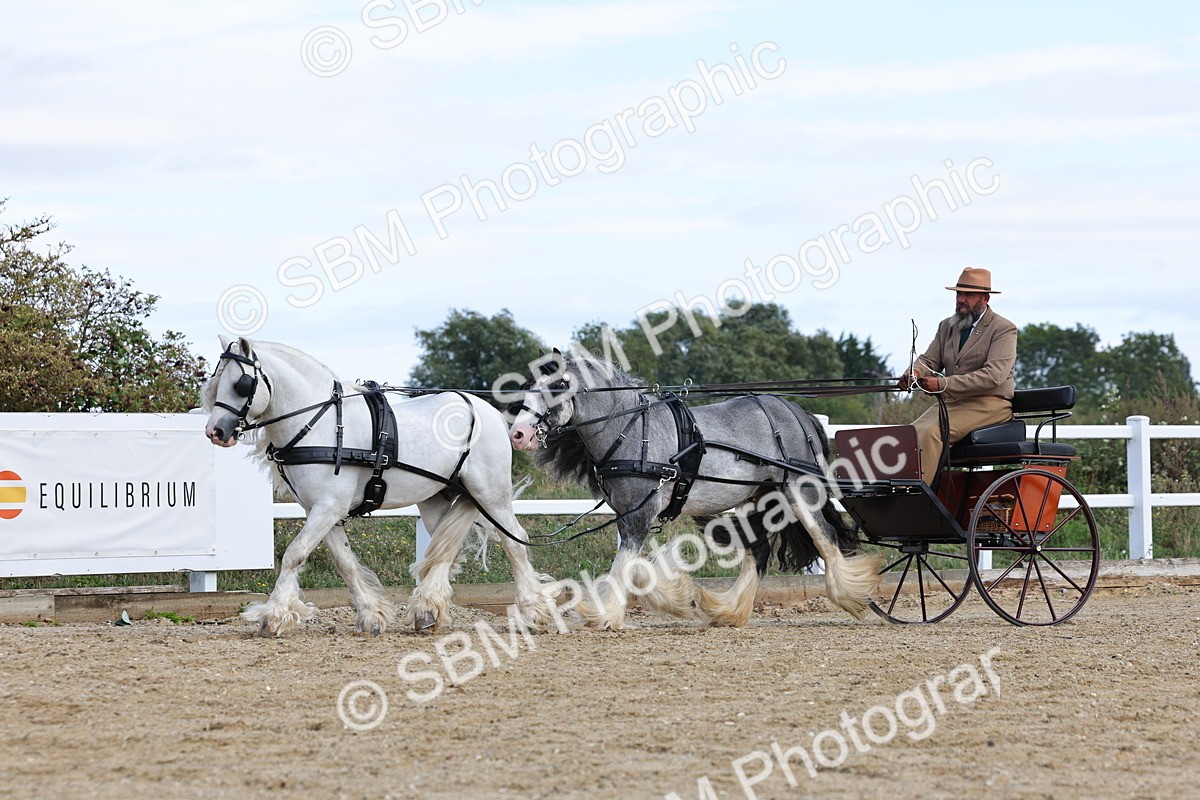 SBM_001190 - Class 16 - Pairs ,Multiples and Tandems