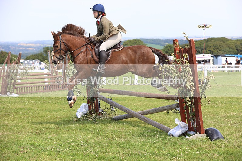 JPP_3688 - Class 23: Working Hunter 80cm