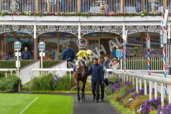 230923-Race 3-Politico-6299 - Race 3 3.10pm Happy 60th Birthday Angela Clark Nursery Handicap