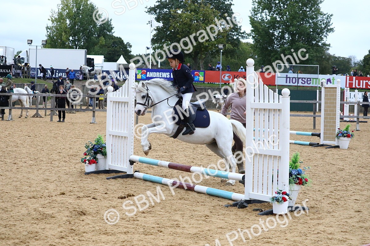SBM_68375 - J3b - Mini Tour Junior Pony 40cm Championship