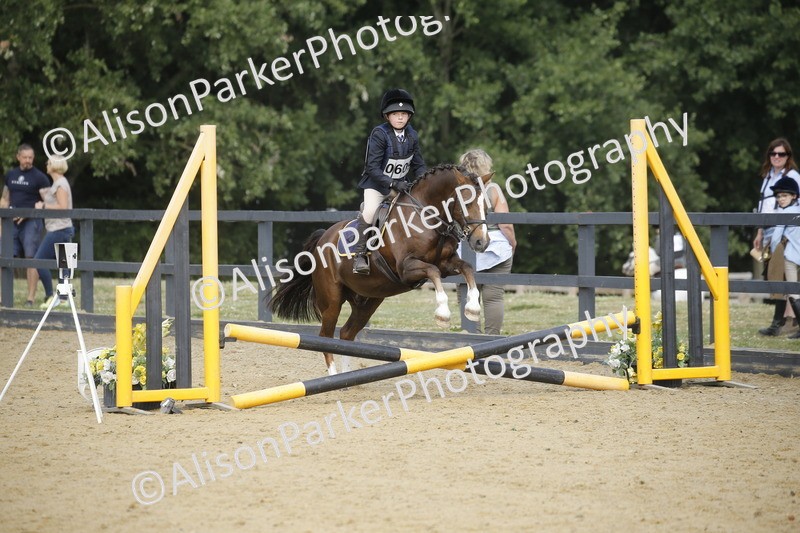 20250622-3667 - 50cm