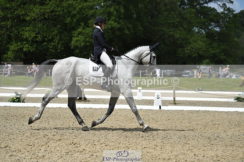230525-113650-01865 - 102-BANDITO_VAN_POLDERZICHT-Grace_Taylor-WEDTrotUp+DR