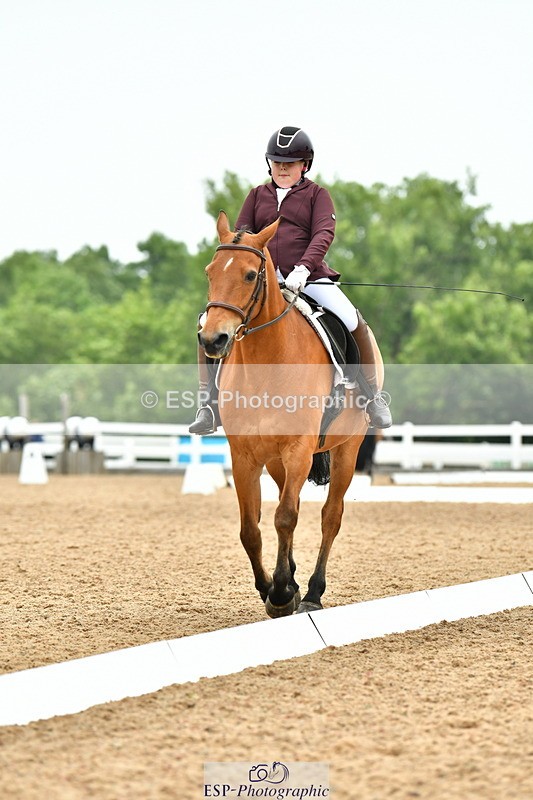 230708A-114615-02619 - Prelim 13