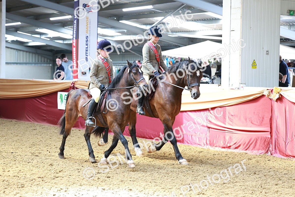 SBM_15466 - Class 109 - Ridden Pairs -Section A