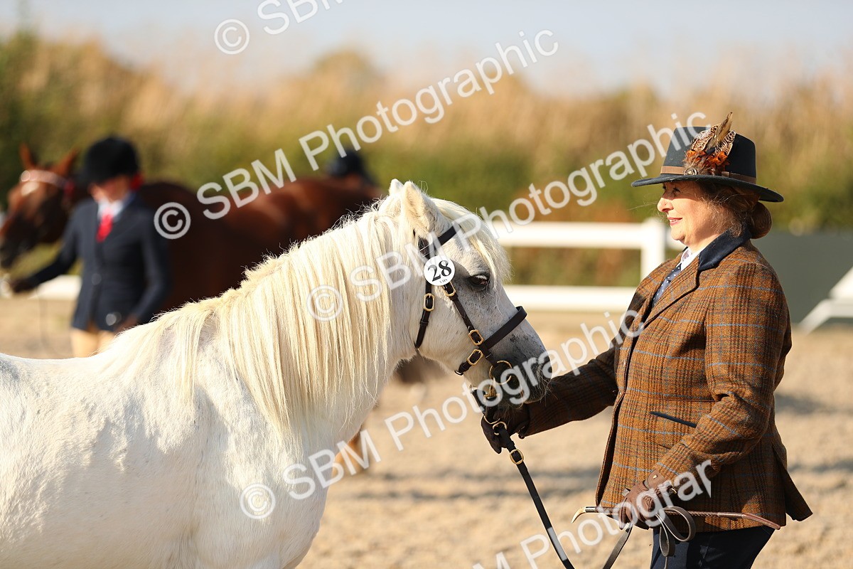 SBM_08966 - Class 29 IH Veteran Pony
