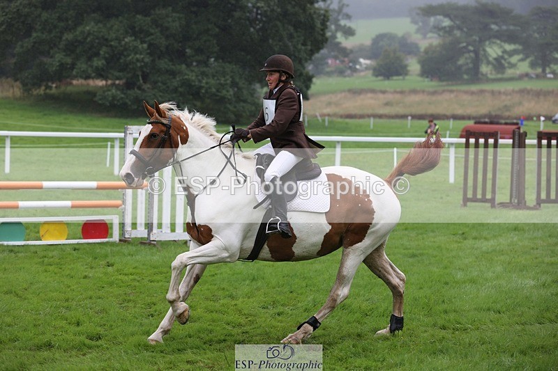 230805-101134-00141 - SJ 10 to 11