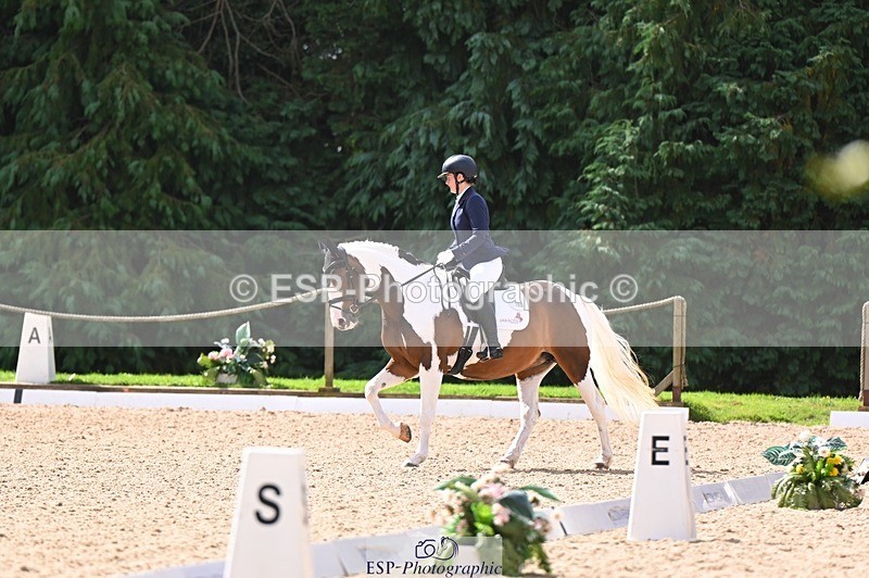 240809-103938-00356 - 160-Sian.Lowe-Pinecroft.Indigo