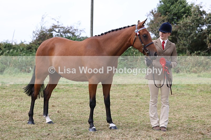 3E7A5618 - Class 20: Sports Horse In Hand