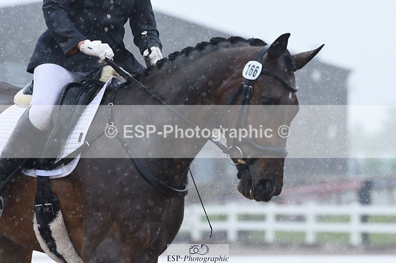 230708A-151522-03251 - Novice 24