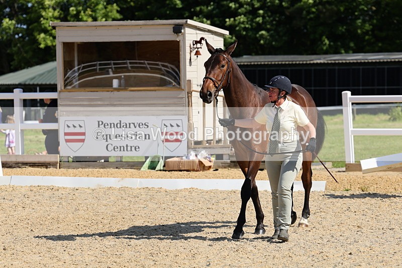 1X9A0781 - Class 4: Youngstock 1, 2, 3 year old to exceed 153cm