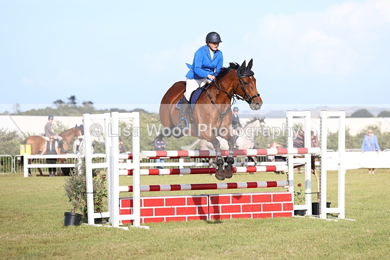 3E7A4377 - Class C: Showjumping Senior Foxhunter