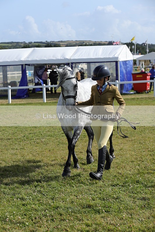 1X9A5933 - Class 41:. NPS New Forest & Connemara