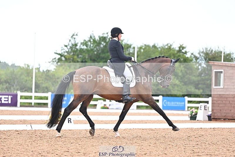 240815A-155656-02510 - 228-Nicola.Rapley-Scolari's.Glory