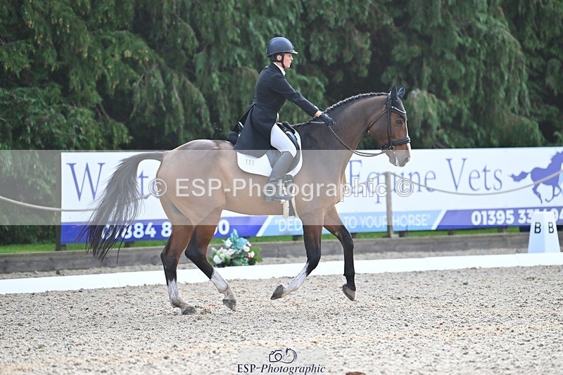 231019-110628-02050 - 105-BRIGHT.KNIGHT.III-Janet.Clarke-DR