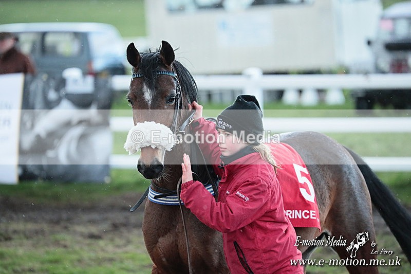 PtP 230324 1074 - Tedworth Hunt PtP Larkhill Raccourse 23rd March 2024