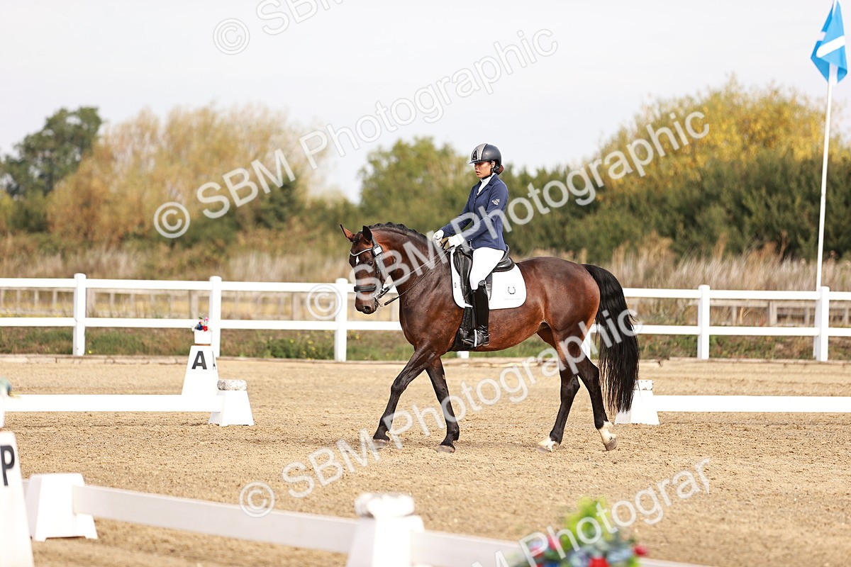 SBM_016936 - Class 10 - Medium 6