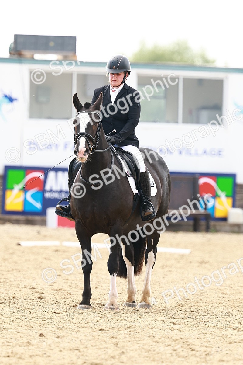 SBM_003190 - Class 13 - Medium 5