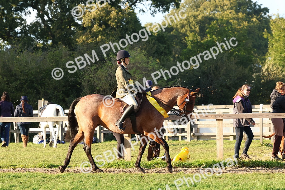 SBM_53123 - Veteran Supreme Championship