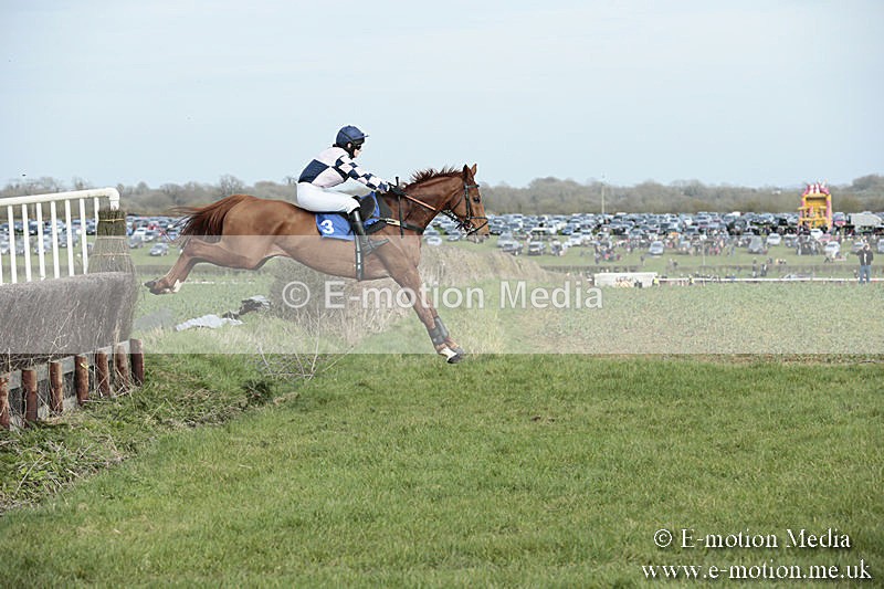 PtP 230319 353 - VWH Hunt Siddington Point-to-Point Racing 23/03/19
