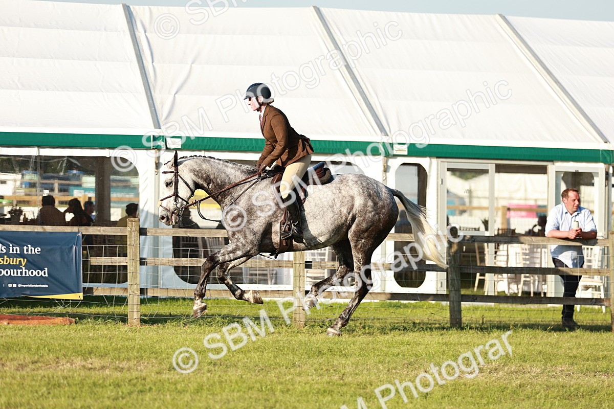 SBM_20490 - Class 117-119 - Sport Horse Working Hunter