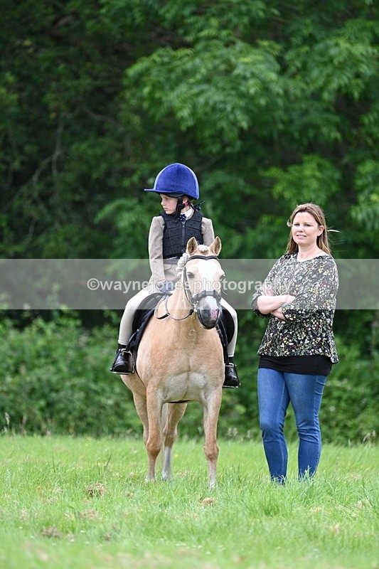 WJ7_3761 - Class 14A Handsome Gelding