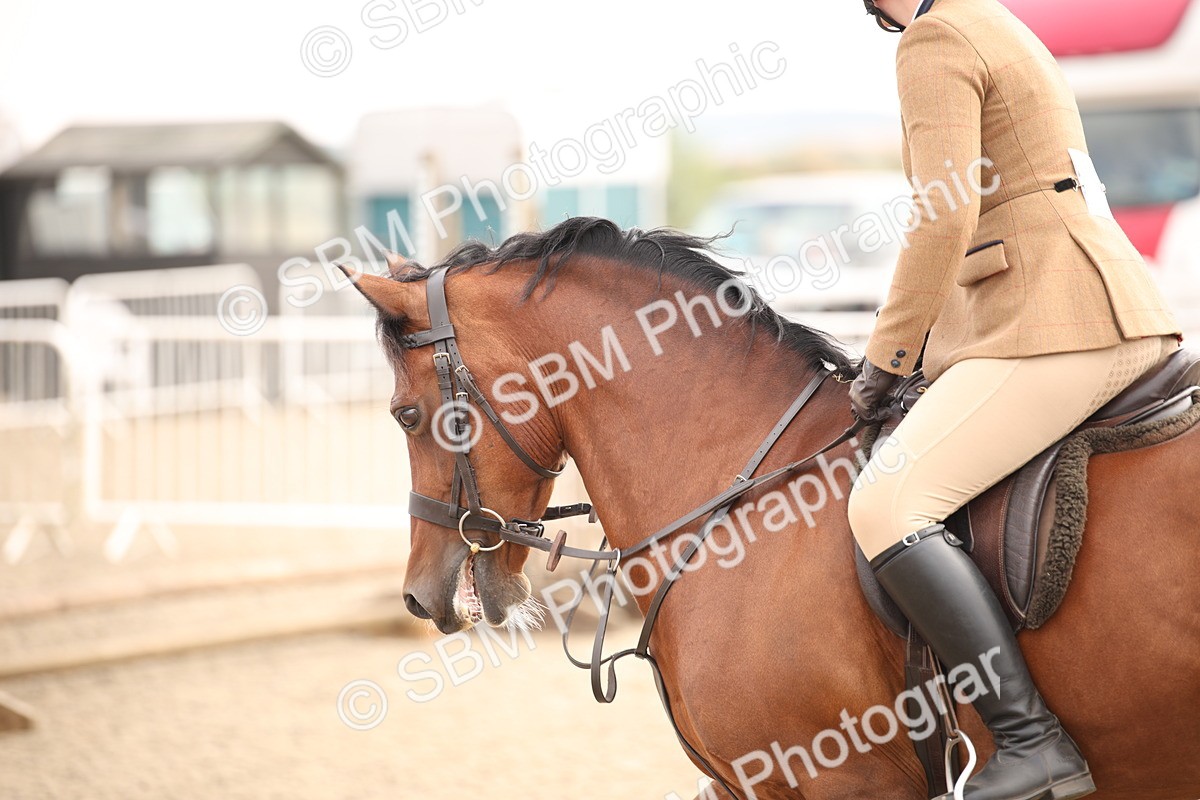 SBM_12252 - Class 405a - M&M Working Veteran 50cm (15-19)