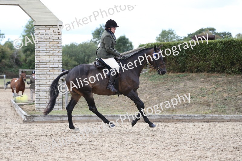 20260831-2610 - Class 15 - Ridden Retraining of Racehorses