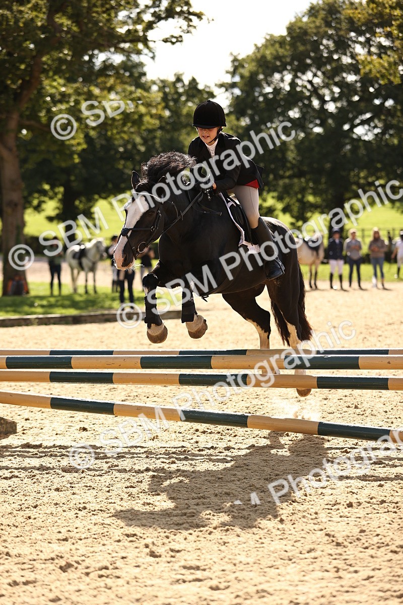 SBM_49162 - J9 - Junior Pony 70cm Championship