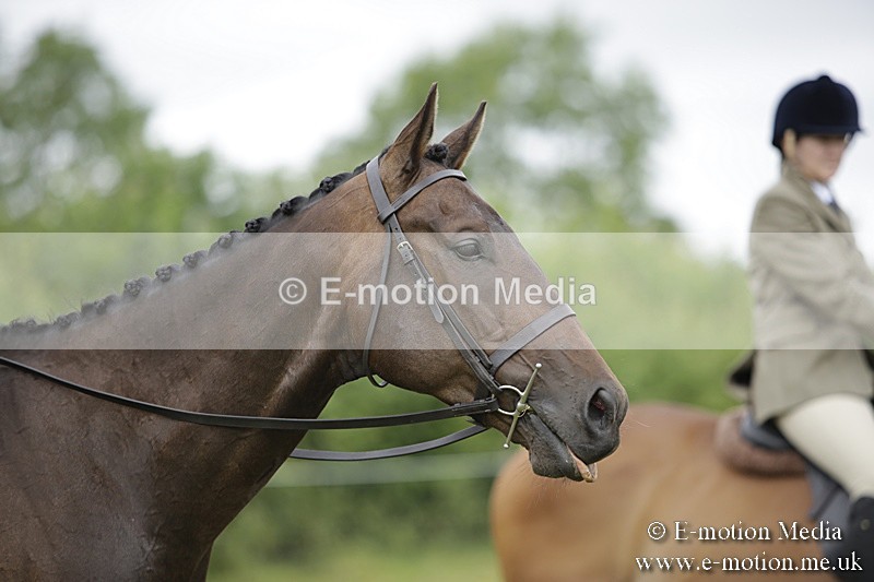 BVR160717-466 - Ring 1 BVRC Show 16/07/17