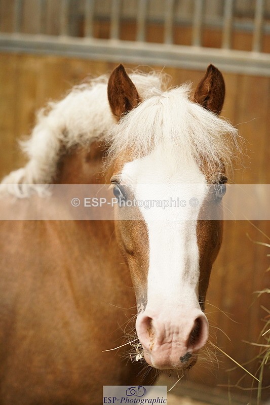 240809A-134748-01029 - Stable Shots