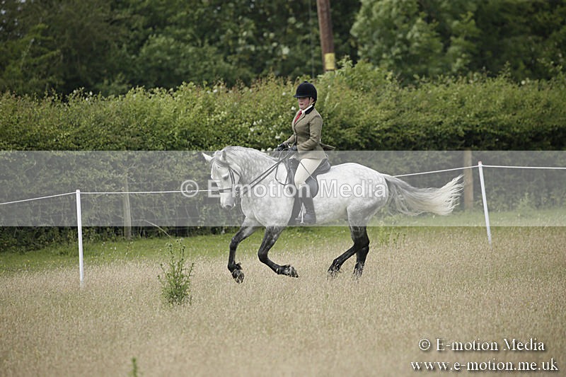 B230619-0498 - Bourne Valley Riding Club Summer Show 23/06/19