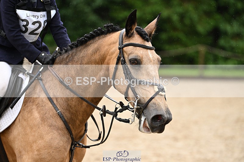 240824X-100902-23539 - 70cm Round 2 9.30 to 10.30