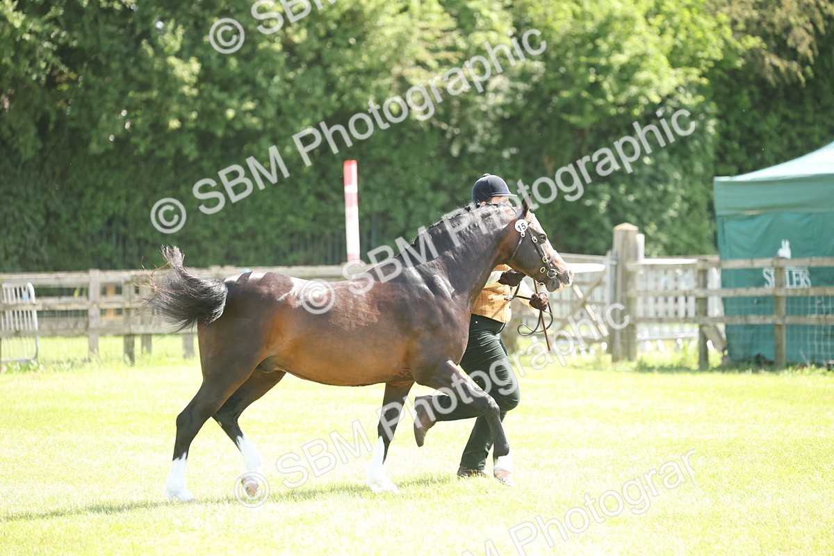 SBM_09080