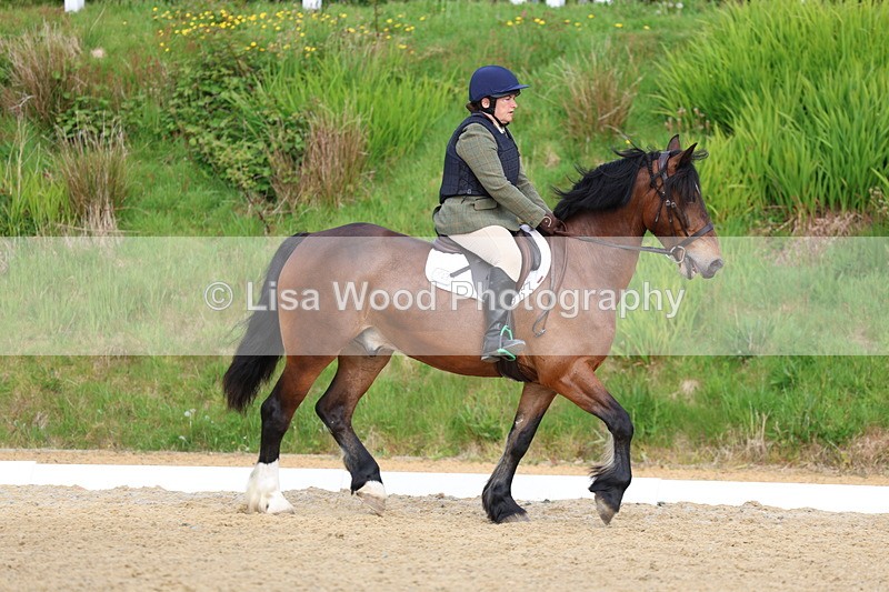 3E7A3425 - Class 2: INTRO B- INTRO 3 2024