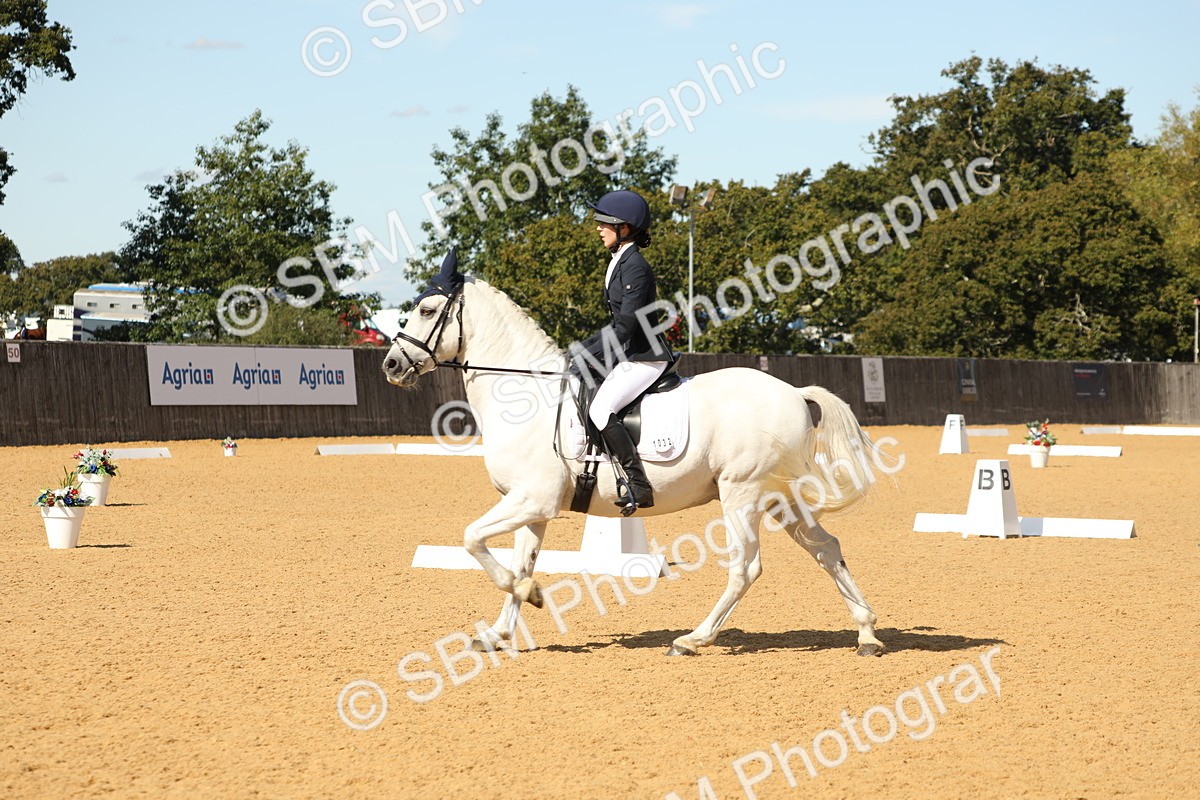 SBM_22365 - D17 - Grand Tour Championship - Novice 27