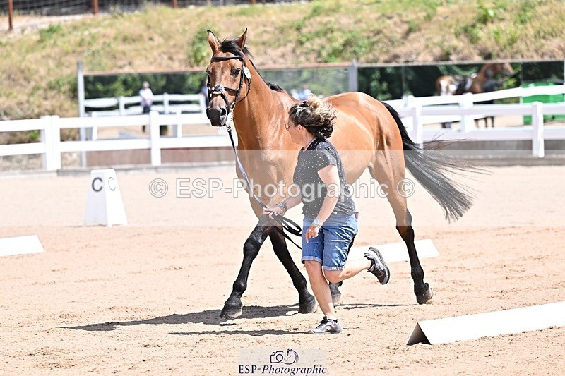 250716-123845-00085 - Trot Up 12.30 to 1.30