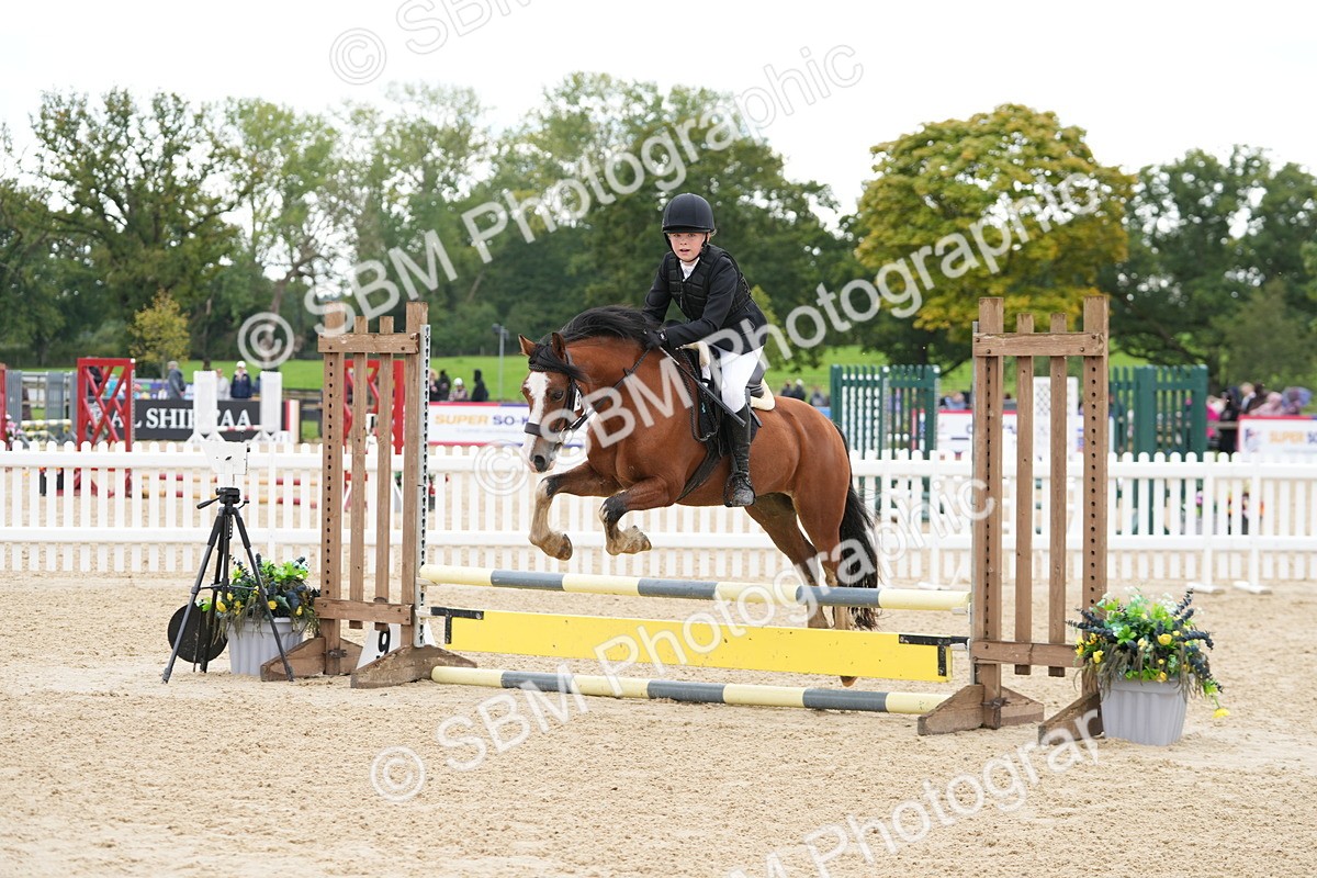 SBM_43434 - J7 - Junior Pony 60cm Championship