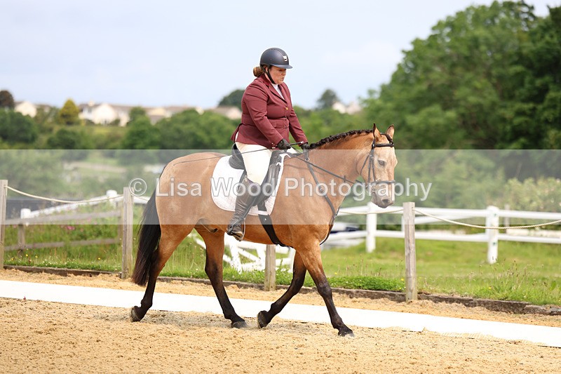 3E7A9151 - Class 2: Intro 1 2024 Section B