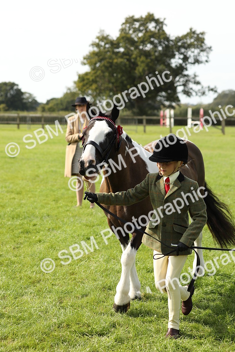SBM_67794 - S39 - Junior Handler 8  Years & Under