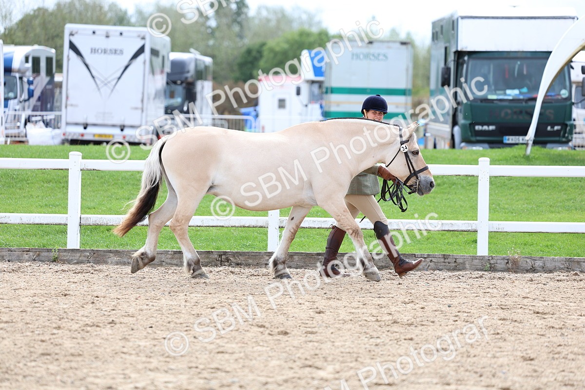 SBM_03894 - Class 25 - IH Foreign Breeds - Pure Bred
