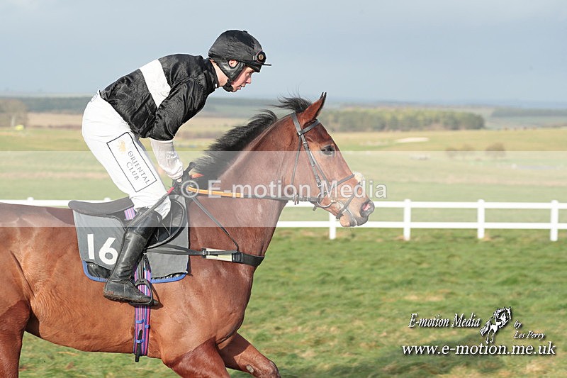 PtP 311223 474 - Larkhill Racing Club Point-to-Point 31/12/23