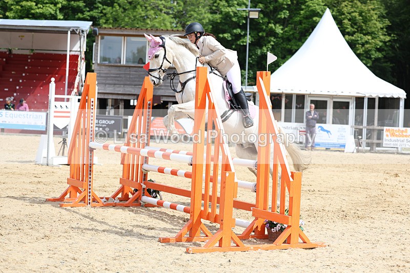 3E7A8808 - Class 4: Senior British Novice/90cm open